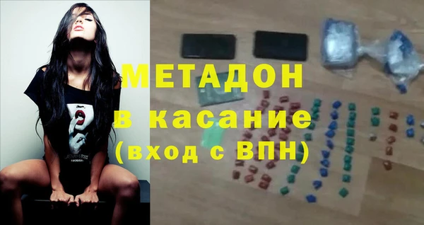 прущие грибы Елабуга