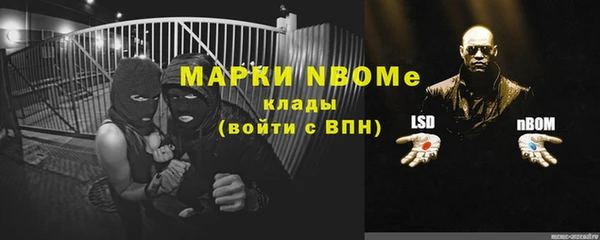 ПСИЛОЦИБИНОВЫЕ ГРИБЫ Ельня