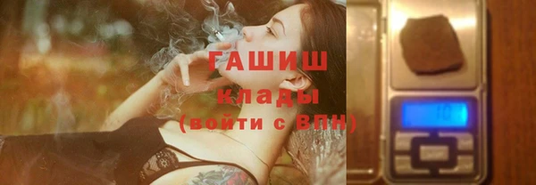 прущие грибы Елабуга