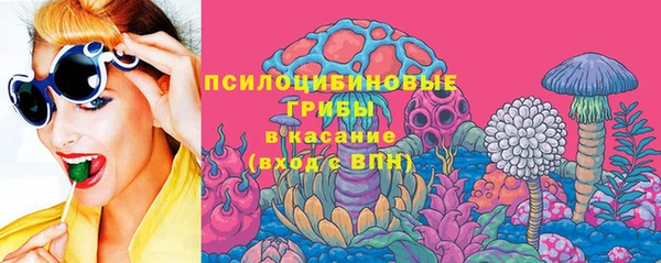 ПСИЛОЦИБИНОВЫЕ ГРИБЫ Ельня