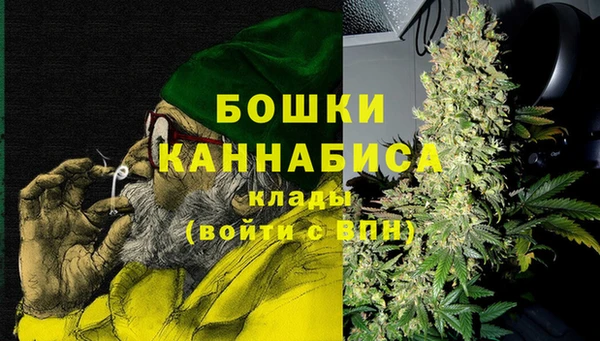 прущие грибы Елабуга