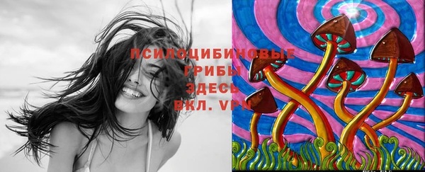mdpv Заводоуковск