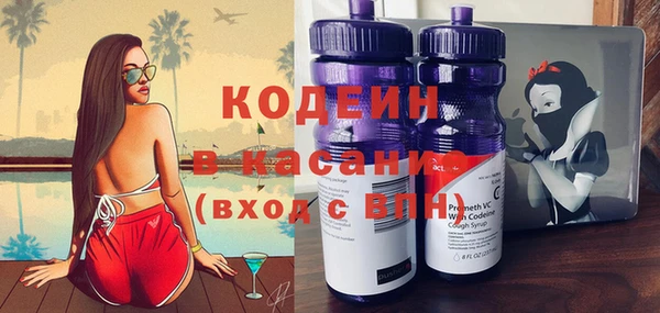 ПСИЛОЦИБИНОВЫЕ ГРИБЫ Ельня
