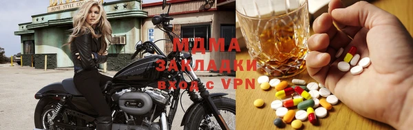 прущие грибы Елабуга