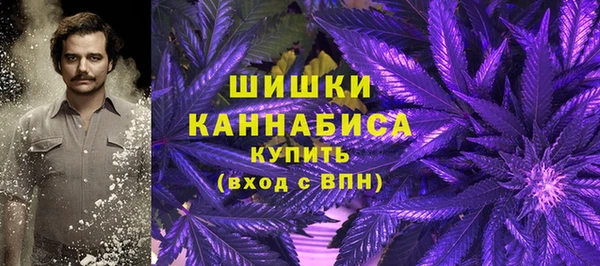ПСИЛОЦИБИНОВЫЕ ГРИБЫ Ельня