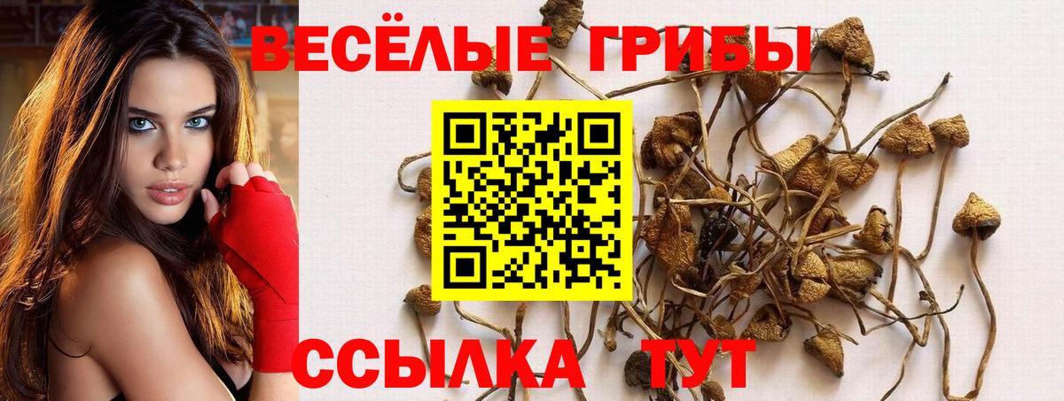 Псилоцибиновые грибы GOLDEN TEACHER  Псилоцибиновые грибы Magic Shrooms  Вход с VPN  Биробиджан 